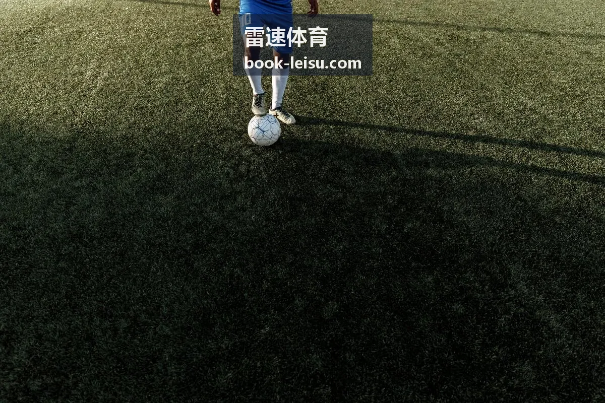 雷速体育数据指数服务